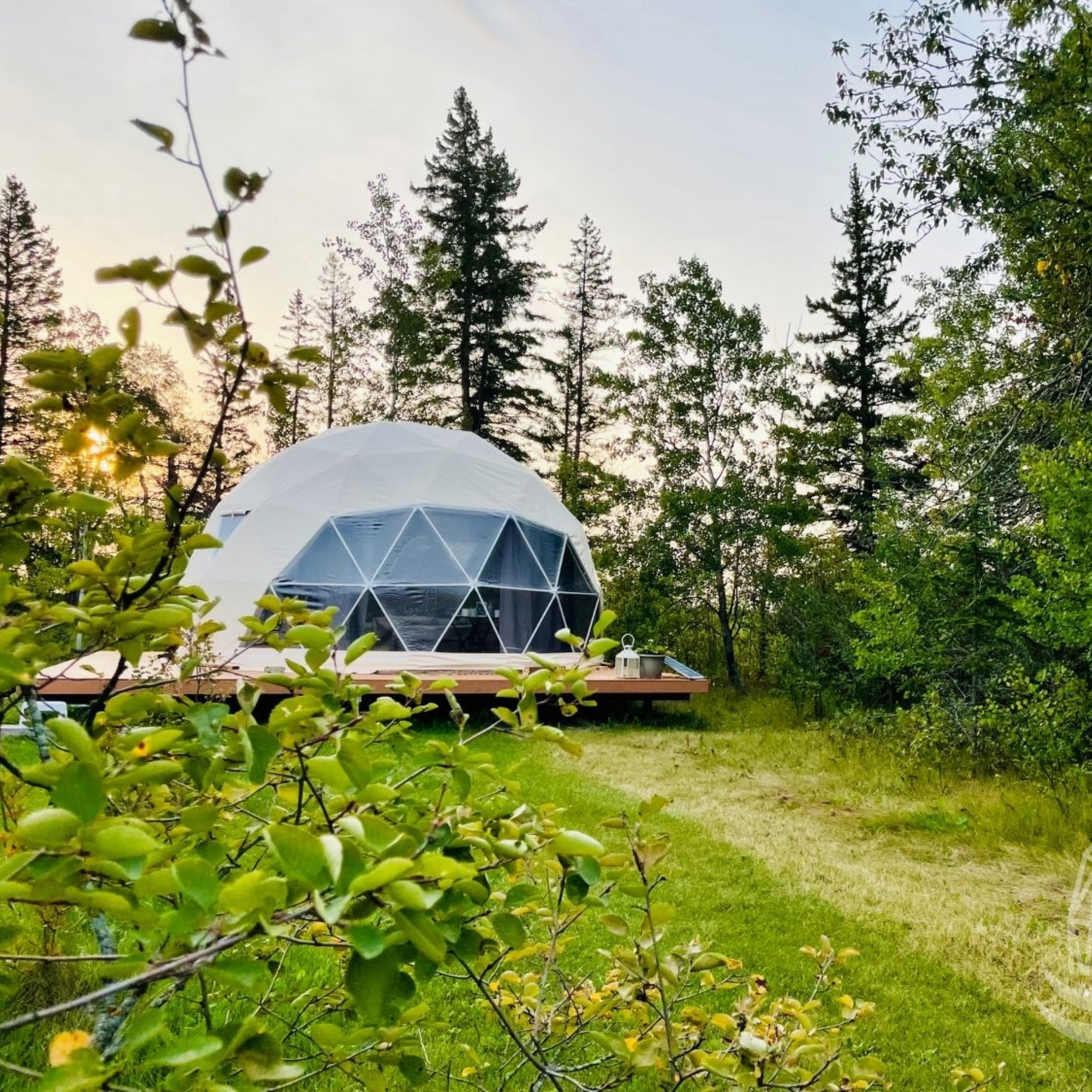 Phoenix Domes 20ft Deluxe Glamping Package | 290 sqft